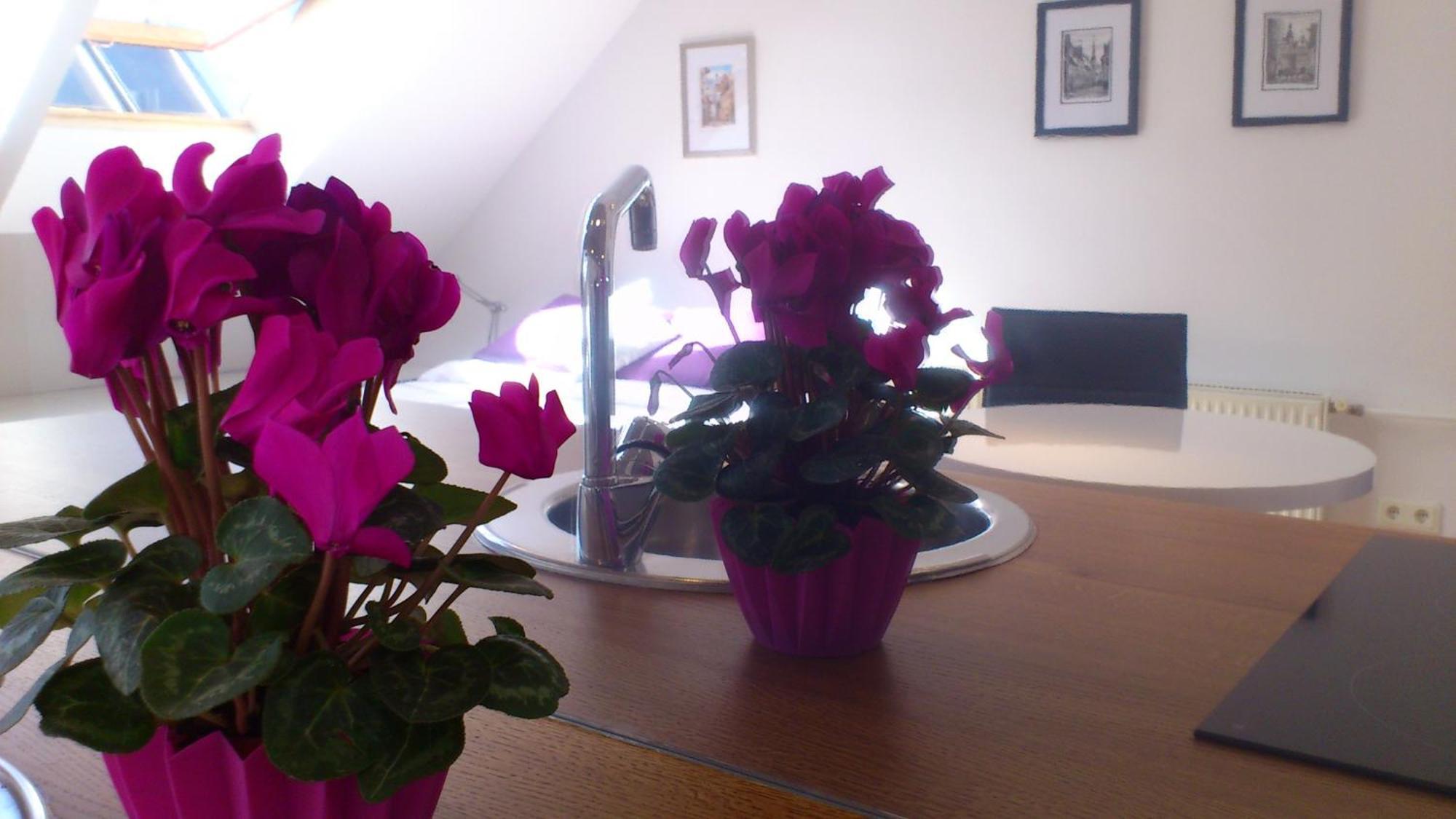 Old Town Riga Apartment Ngoại thất bức ảnh